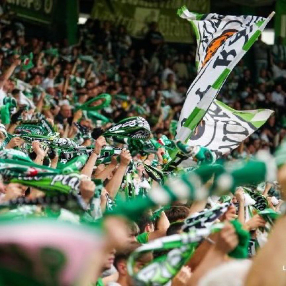 ElBielsaFantasy's tweet photo. 🚨 ANÁLISIS ASCENDIDOS 🚨

🗣️ Como siempre antes de la temporada, toca analizar a los equipos ascendidos. 

📌 Formacion más utilizada y sus variantes
📌 Análisis de plantilla
📌 Veremos los jugadores que pienso que seguirán siendo clave en primera de cada equipo.

Para ello utilizaremos:

🏟️ Partidos jugados
⚽️ Goles
🅰️ Asistencias 
⭐️ Veces en el equipo de la jornada
⚒️ @futbol_fantasy 

Como siempre un RT 🔁 y un MG ❤️ sirven de gran ayuda 😉

#Racing #Depor #Malaga