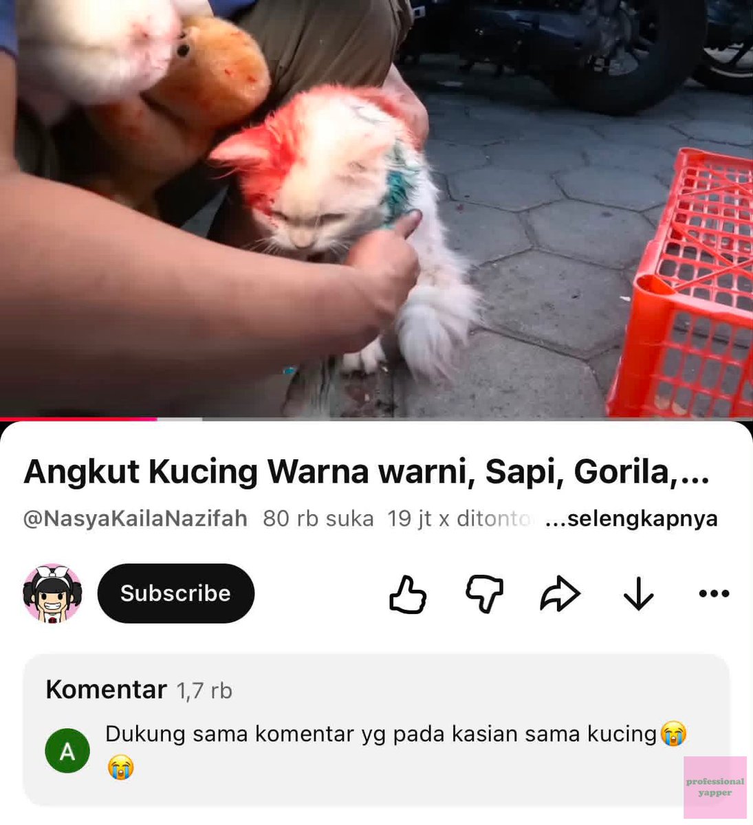 yappingfess's tweet photo. 19 juta orang nonton dan 80rb orang menyukai kekerasan terhadap hewan yap! https://t.co/0kwpkjQx7L