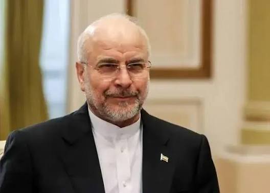 kaveheii's tweet photo. بله آقای قالیباف
ما در دیپلماسی کمک نکردیم

چون رهبر شهیدمان گفته بودند مذاکره با آمریکا شرافتمندانه نیست https://t.co/HfbIx8RILw