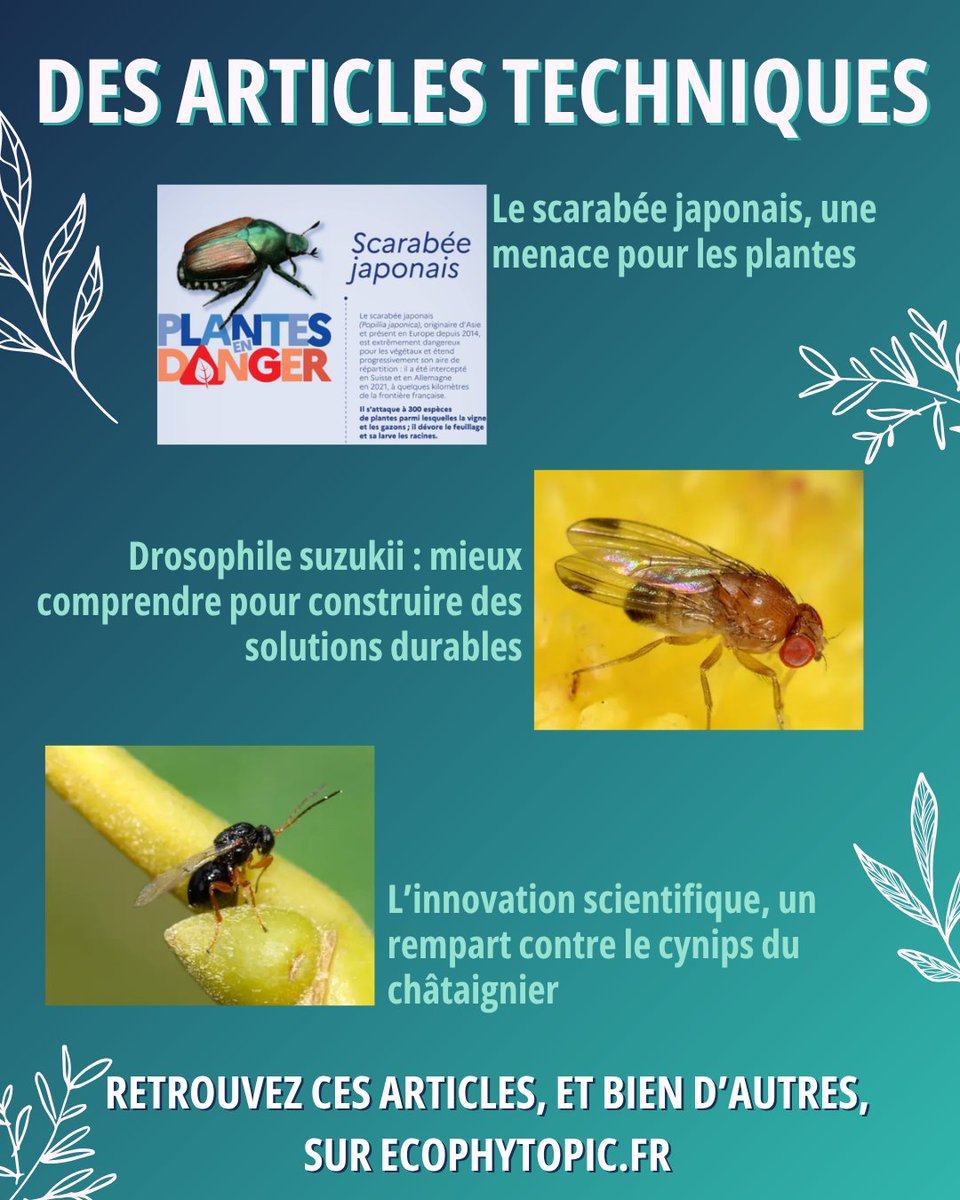 ecophytopic tweet picture