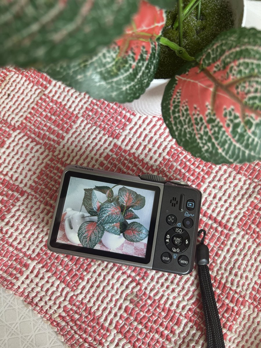 baddiegicam's tweet photo. wts digicam canon powershot a2000 is
no minus
1.200K (co oren ada diskon)
kelengkapan lengkap termasuk card reader dan pouch
#wtb #zonauang #zonabu #zonajajan #camdig #kameradigital #canonixus https://t.co/VwRMC00kki