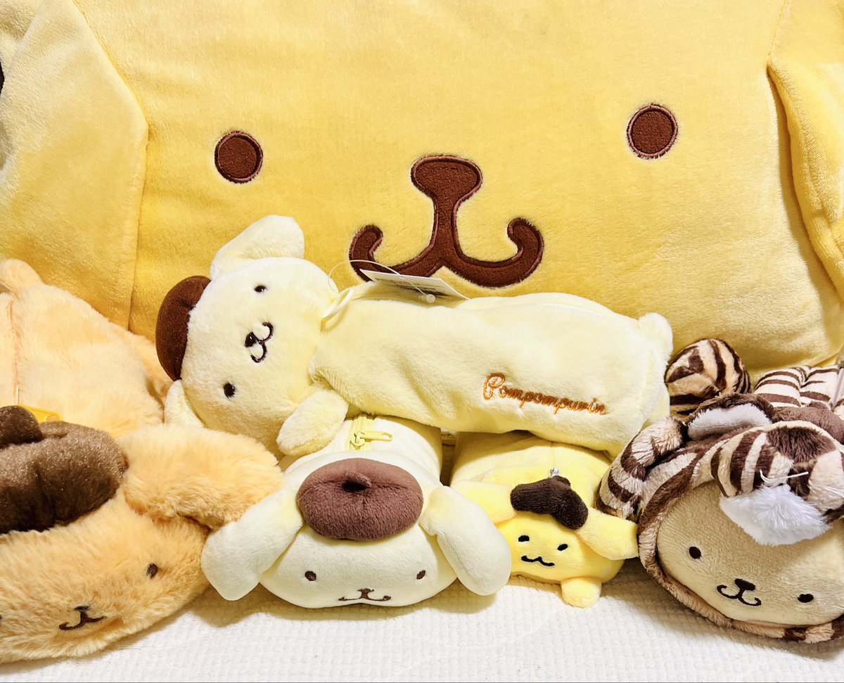 HempBear39's tweet photo. サンリオから届いて何かと思ったらポムポムプリンちゃんのデザイン人気投票が当選してプレゼント頂きました\( ´ω` )/
ありがとうございます！
クリップもペンケースも持ってない子だった！
2枚目は千住プリンちゃんペンケースの子達とﾊﾟｼｬｯ! Σp[【◎】]ω･´)
 #ポムバサダー https://t.co/FqkWA5lGgy