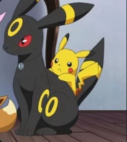 Pokemonpshot's tweet photo. He looks really polite https://t.co/YXuVmFYqJ3