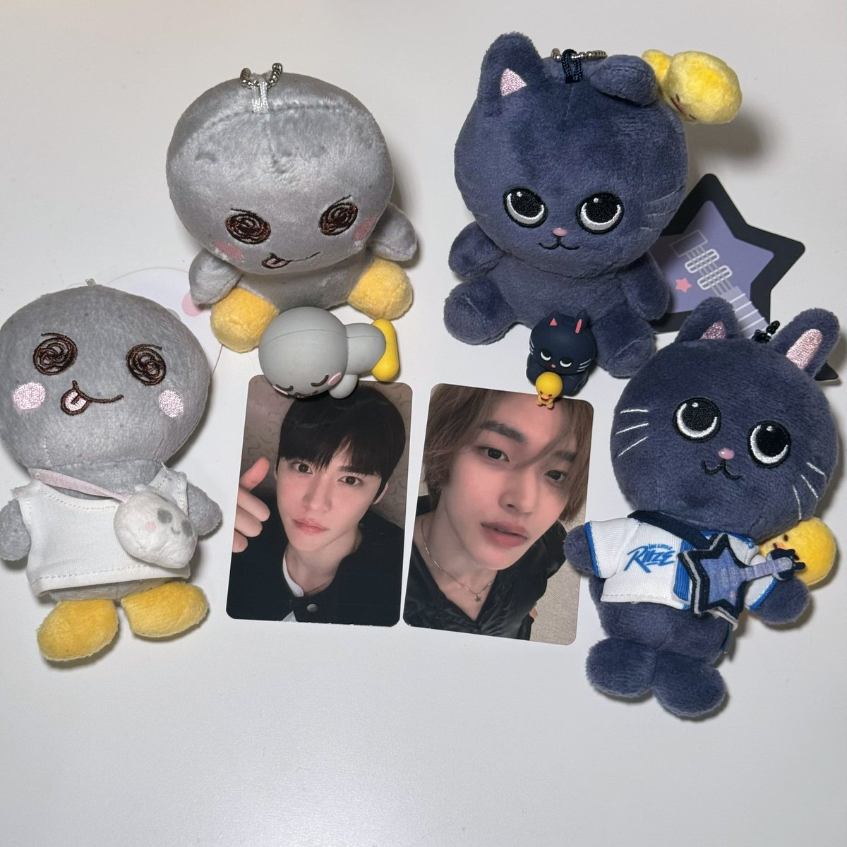 faihom_'s tweet photo. RT สุ่มแจก for #ทีมหินเบ้บ 

🐈 พวงกุญแจหมอนอึนซอกวิ้งค์ (อ้วรๆนุ่มๆบีบแล้วเหมือนสกุชชี่) 5 รางวัล
🐈‍⬛ การ์ด อึนซอก+วอนบิน 1 รางวัล

★ สุ่มแล้วจะทักไปขอหลักฐานสตรีมทาง dm อีกทีนะคะ
★ พวงกุญแจอ้วรรอคลอด ~2-3วีค ใครจะรับไปเลี้ยงรอนิดนึงน้า🥺

📍สุ่ม 3/7 (21:00) https://t.co/cRUuNyeXN6