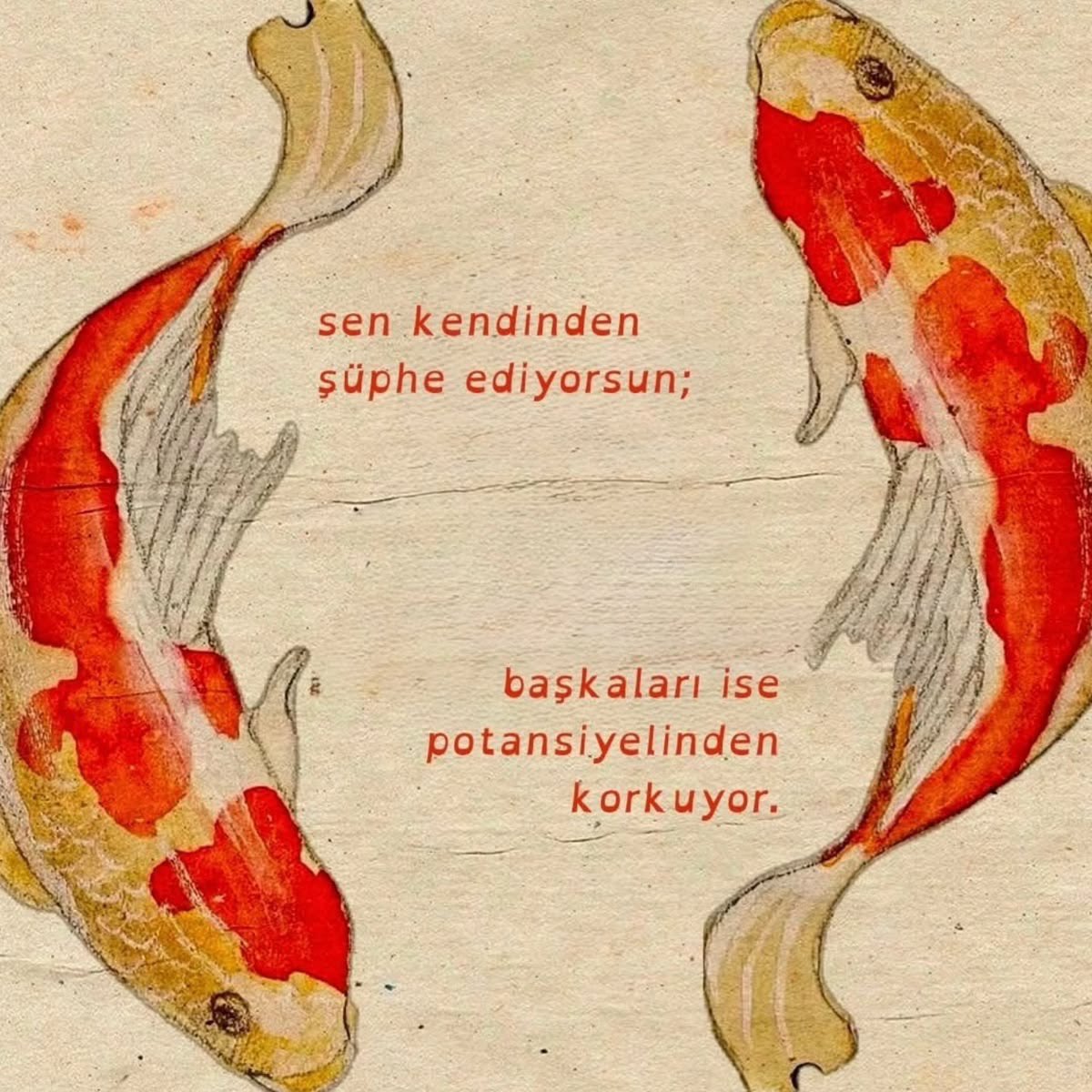 sukunnettt's tweet photo. https://t.co/oIb9svtf1L