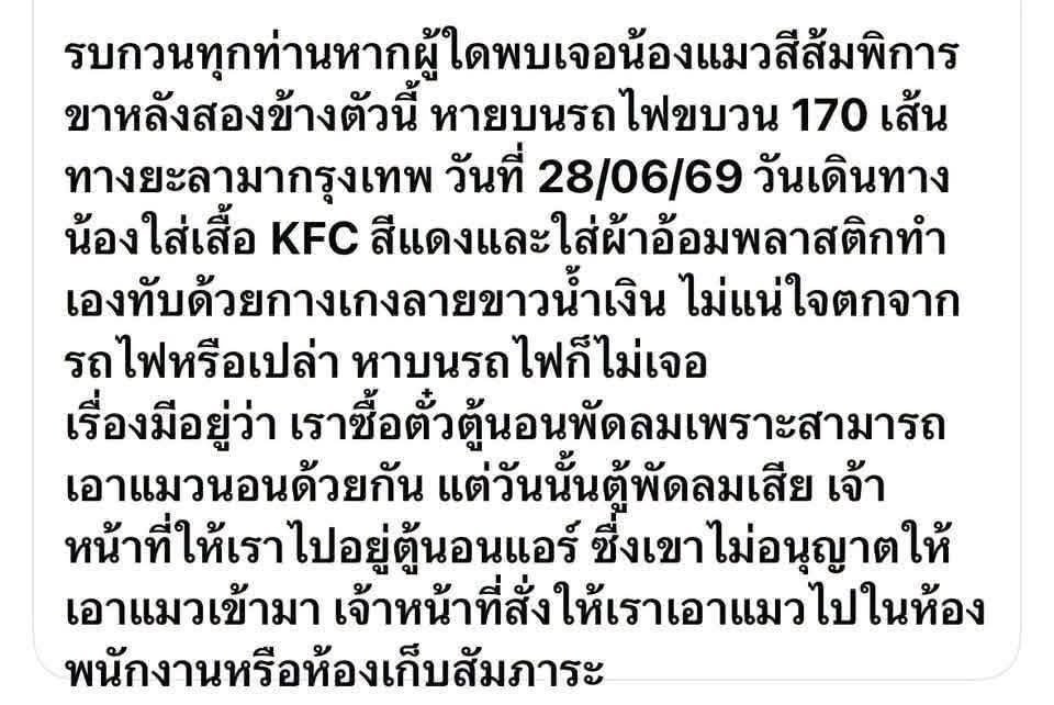 mheawtarot's tweet photo. เห็นในเฟสมา มีน้องแมวพิการหายบนรถไฟขบวน 170 ยะลา-กรุงเทพ วันที่28/06/69 ฝากรีกระจายข่าวทีนะคะ #แมวหาย #แมวจร #แลกติ๊กฟ้า https://t.co/fon4PyW2rk