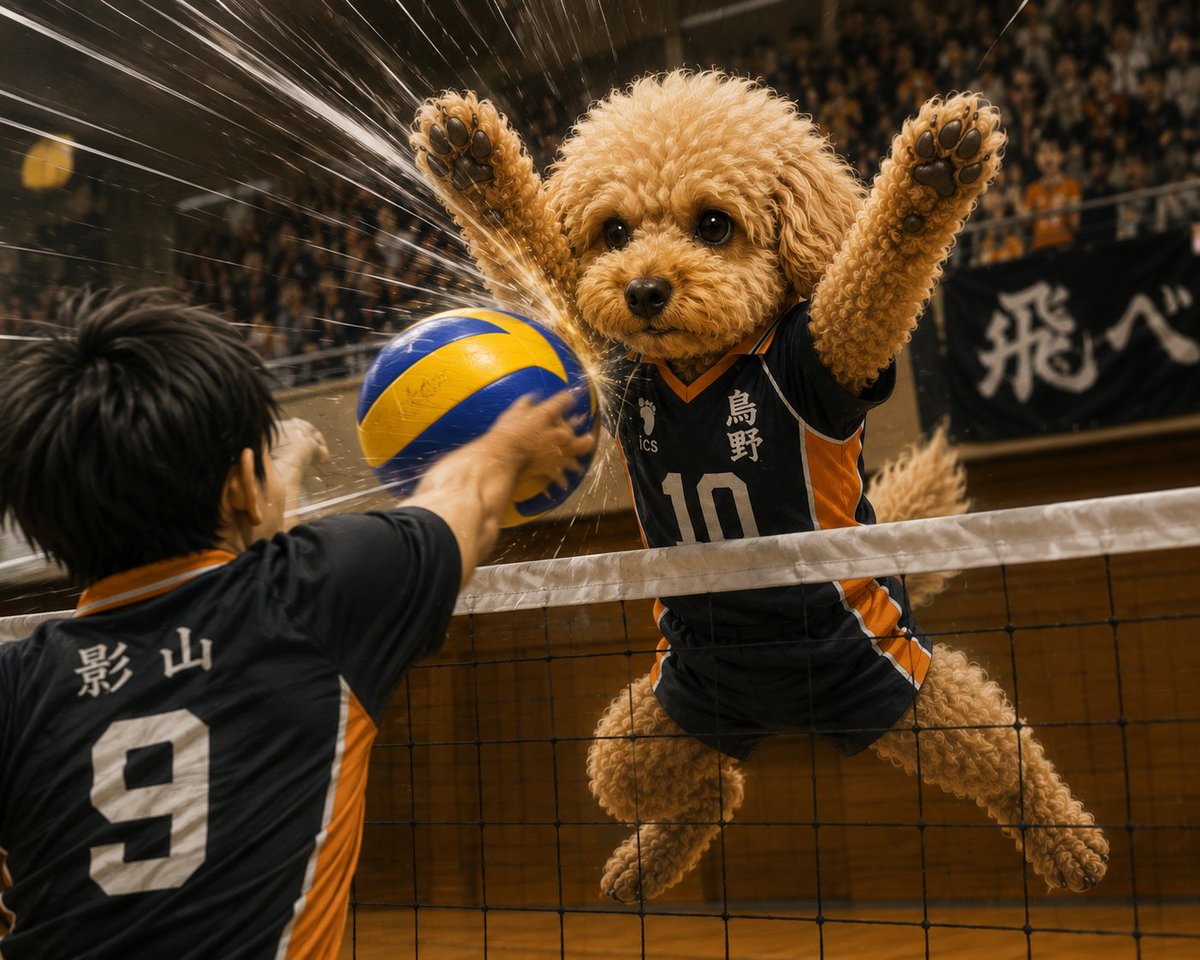 KuriCandle's tweet photo. くまポンなりきりシリーズ
「ハイキュー」
#ハイキュー
#トイプードル
#トイプー https://t.co/xK3aw9DnhD