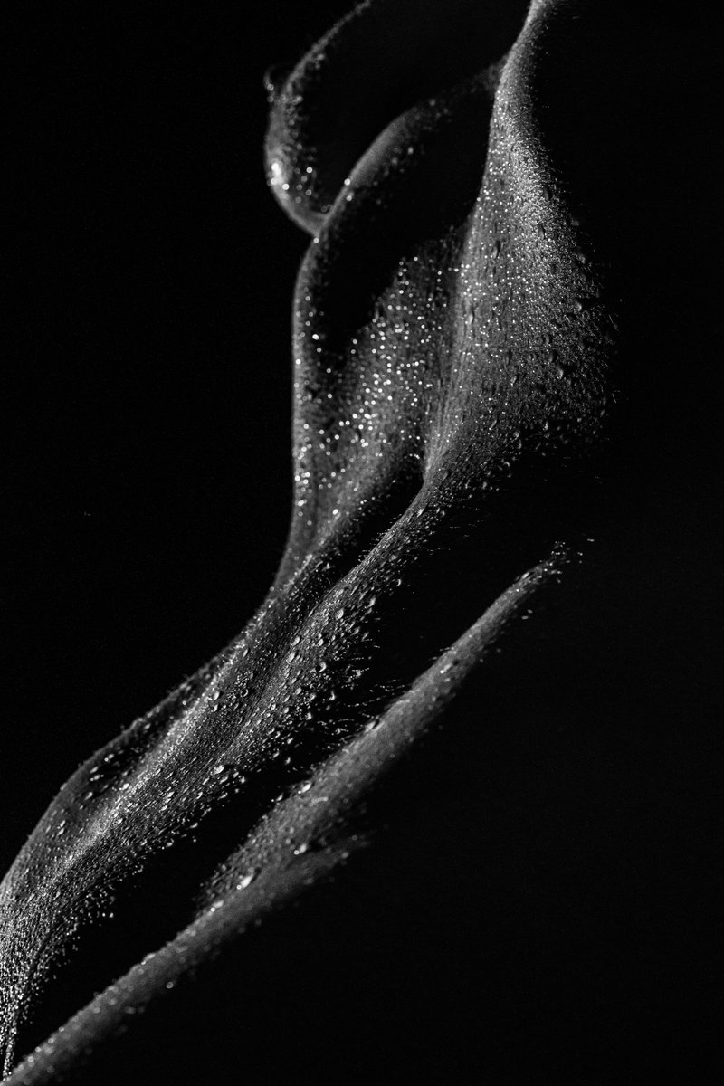 SlavikBnW's tweet photo. See the full set. Patreon only.

https://t.co/OuaXu0jMWm https://t.co/HSd98KWrkc