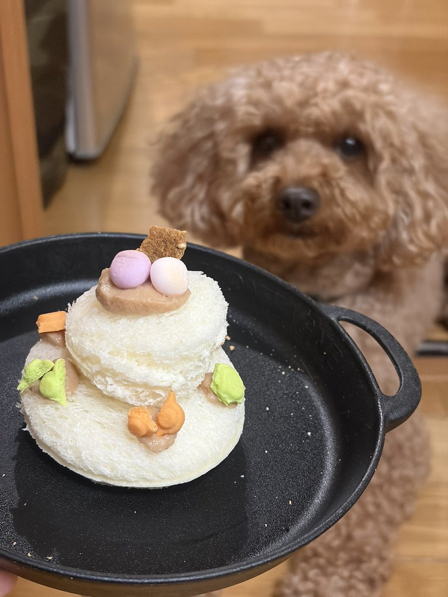 kotonoha_aina's tweet photo. そーいやこの前うちの子の誕生日で、、、
即席食パンケーキ作った
5歳おめでとう🎉 https://t.co/J6K5ViNpNc