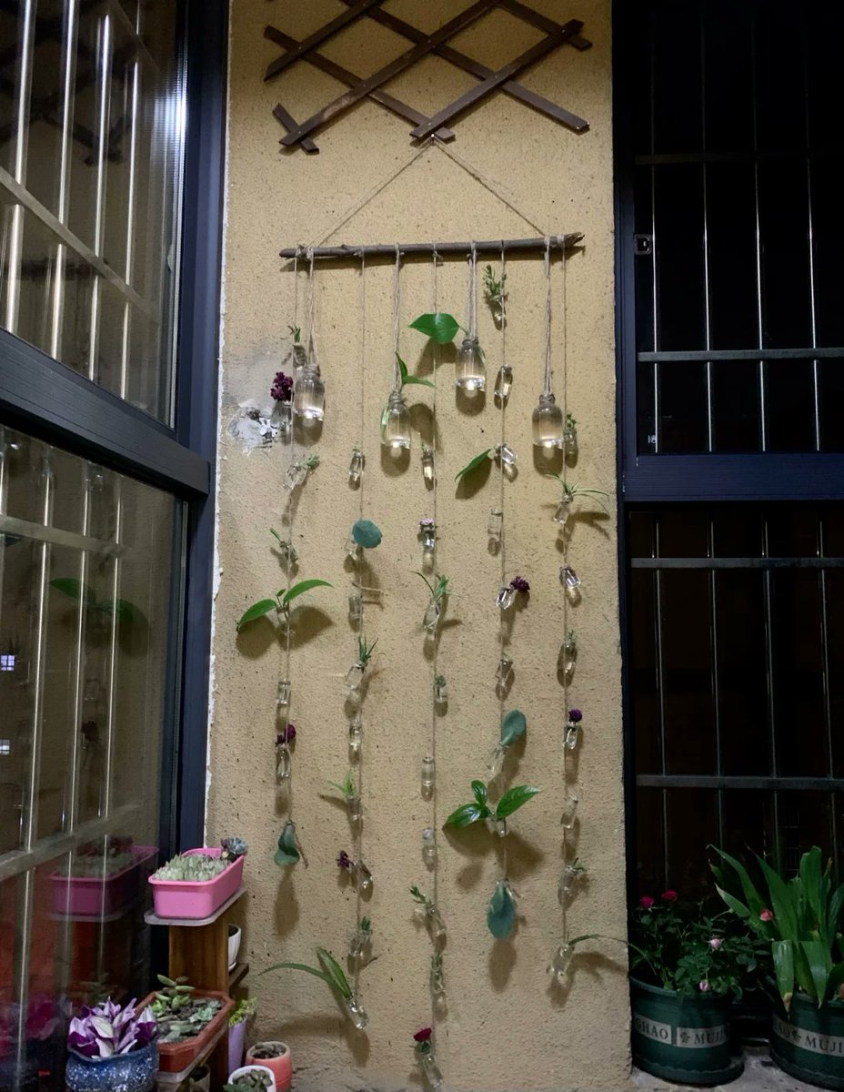 lsc_la's tweet photo. [Turn an old mason jar into a cozy hanging planter with just twine and glue! Perfect for small spaces.  #DIYHome]， https://t.co/R2M5wAfPTG