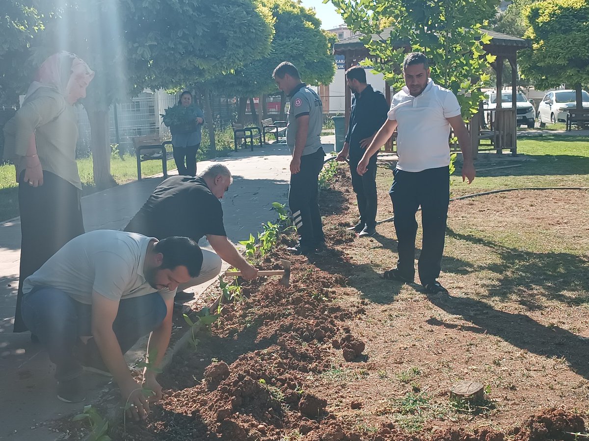 GSB_KarakopruGm's tweet photo. 🌱 Emekle büyüyen her fide, geleceğe atılan umut dolu bir adımdır.
@gsb_hilvangmm emekleriyle yetiştirilen fidelerin, Karaköprü Gençlik Merkezimizin bahçesine ekimini gerçekleştirdik. 

@OA_BAK
@gencliksporbak https://t.co/0XkVFNiO5G