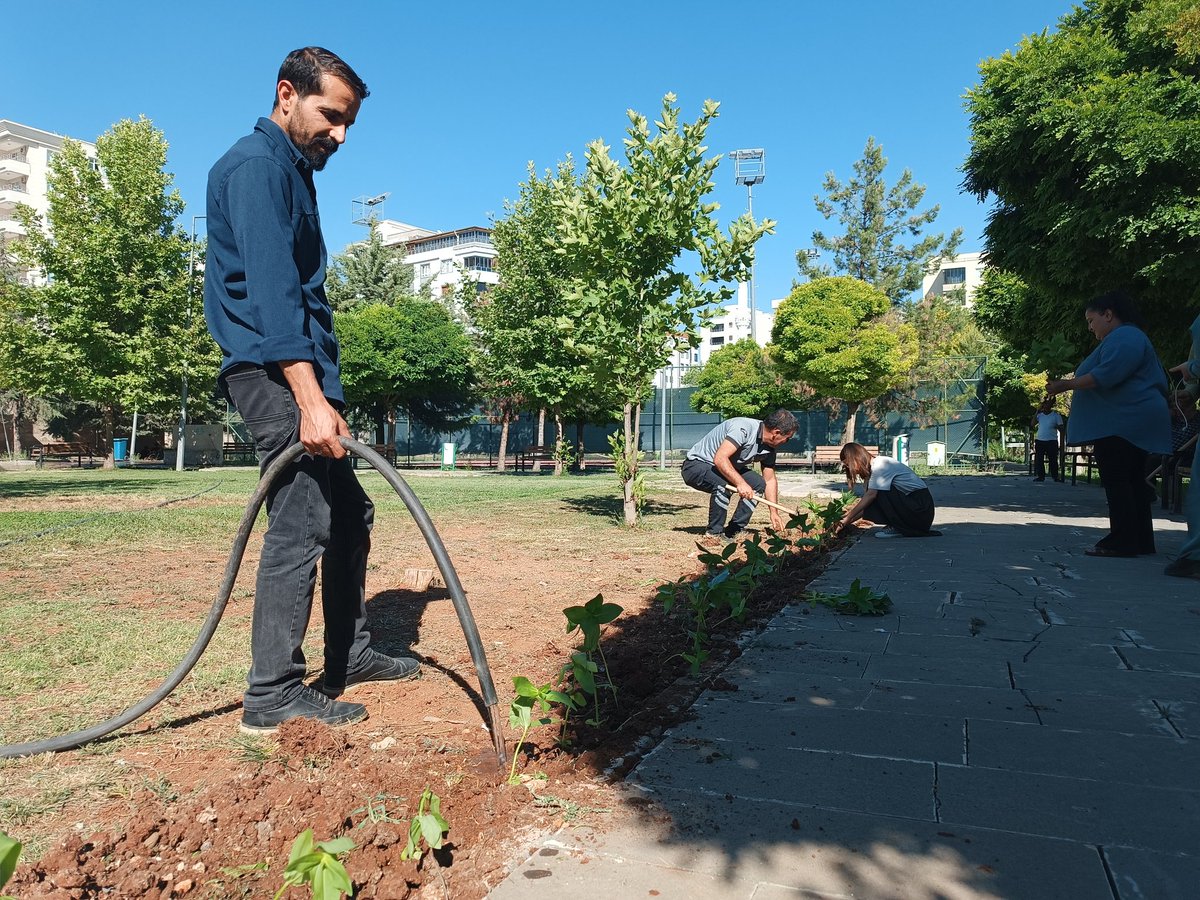 GSB_KarakopruGm's tweet photo. 🌱 Emekle büyüyen her fide, geleceğe atılan umut dolu bir adımdır.
@gsb_hilvangmm emekleriyle yetiştirilen fidelerin, Karaköprü Gençlik Merkezimizin bahçesine ekimini gerçekleştirdik. 

@OA_BAK
@gencliksporbak https://t.co/0XkVFNiO5G