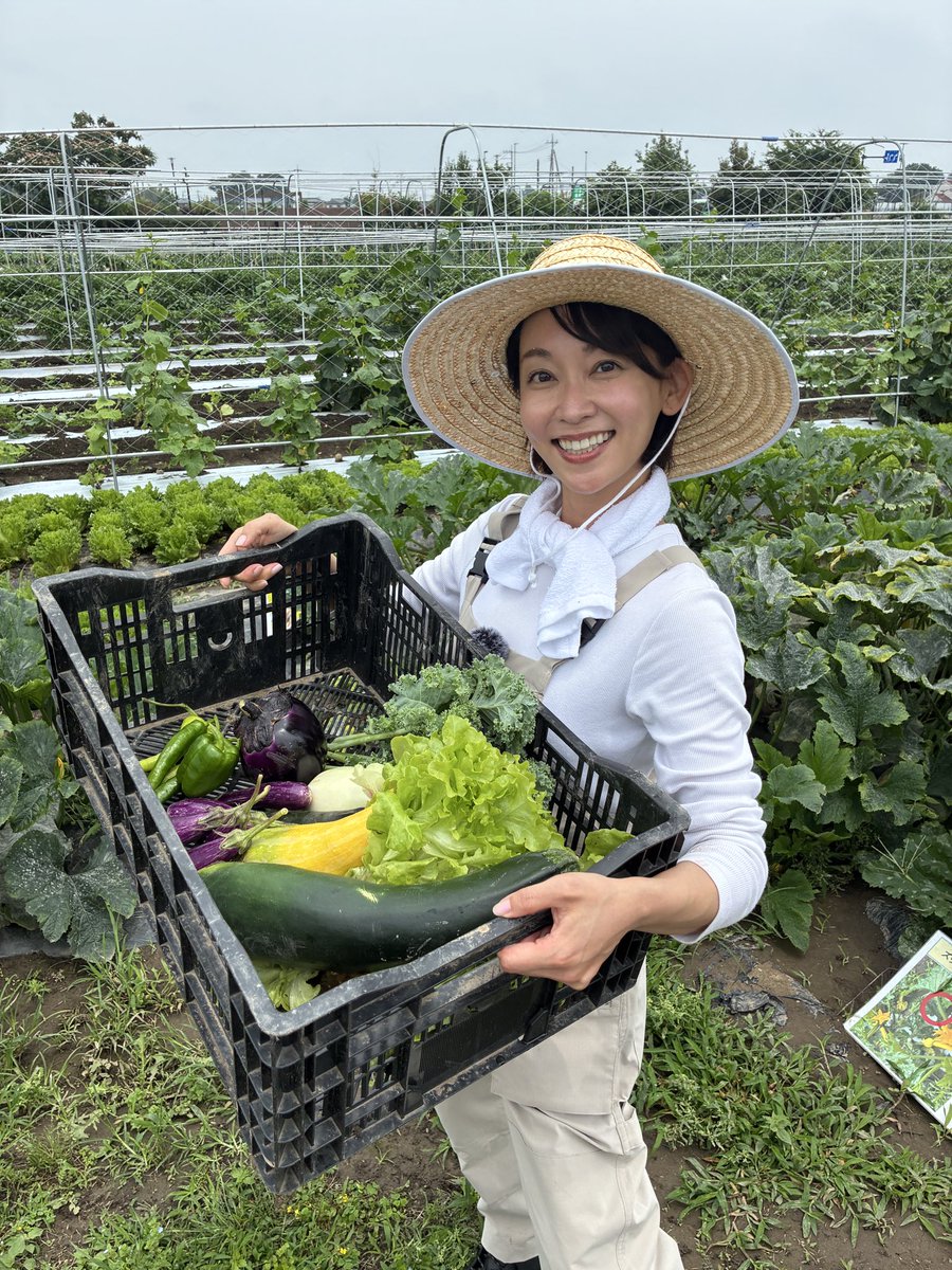 nst_tbs6's tweet photo. きょうの #Nスタ 「でみトレ」では
旬の野菜から意外なものまで！？進化する〇〇狩りについて特集します🍆

▼サッカー日本代表　きょう帰国⚽️
▼手軽に手作り料理　包丁キャンセル界隈😋
▼物価高の救世主　パンガシウスとは🐟
その他、最新ニュースをお伝えします！

コメンテーターは　#星浩　さんです✨
ぜひご覧ください🐽

#井上貴博 #出水麻衣 #山形純菜 #高柳光希　#山本匠晃 #TBS