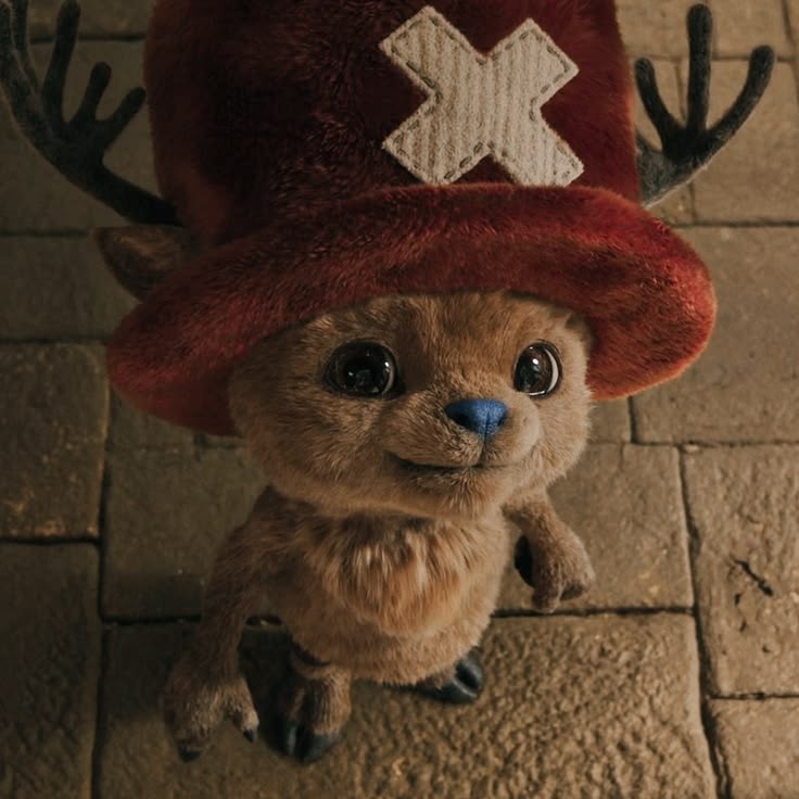 atny2atz's tweet photo. @miyarah_ Yo lloré porque vi esta foto en mi galería. Te quiero Chopper 😭 https://t.co/hsGnqemPRM