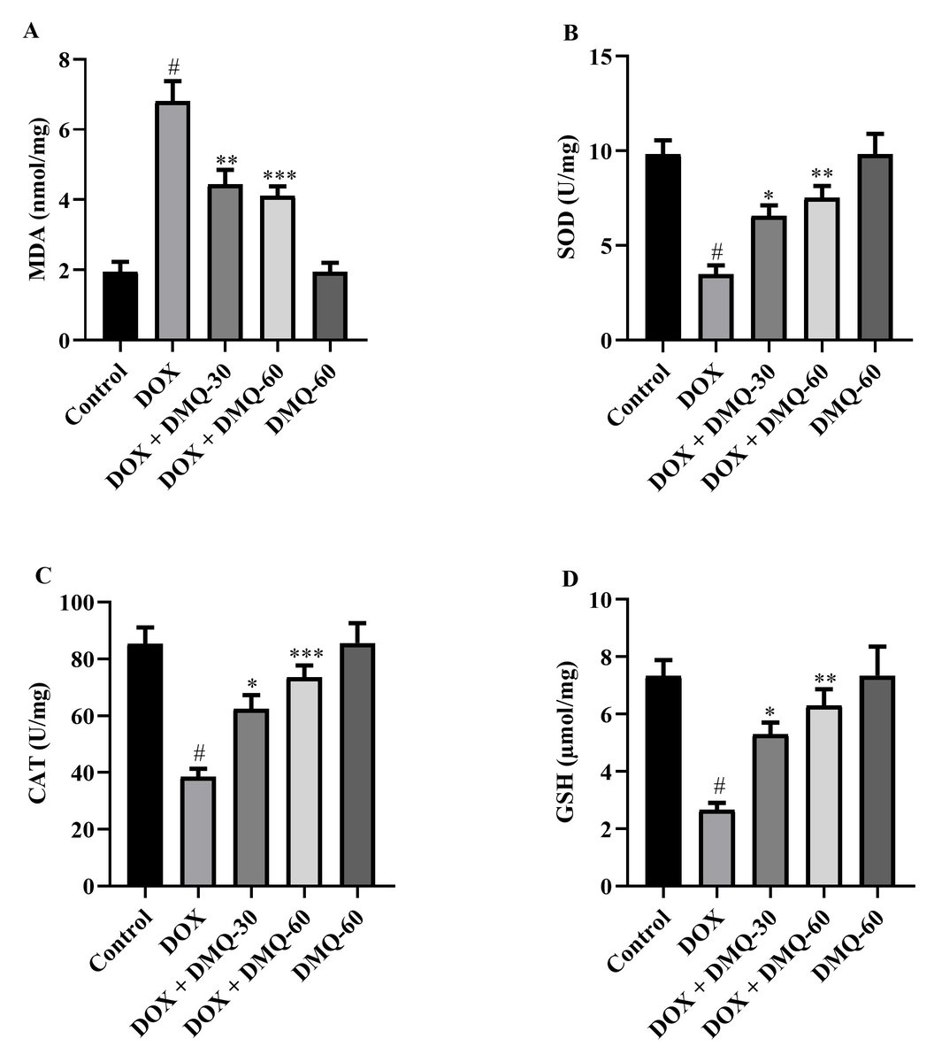 IJP_IMRPress's tweet photo. 🧪 DMQ: a potential nephroprotective agent against doxorubicin toxicity.
✅ Reduced kidney function markers
✅ Restored antioxidant defenses
✅ Suppressed inflammatory cytokines
✅ Improved renal histology
https://t.co/P8i2hnH46h
#Nephrotoxicity #RenalProtection https://t.co/gZ8qAUwuCd