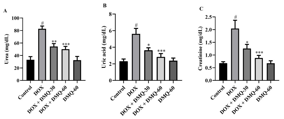 IJP_IMRPress's tweet photo. 🧪 DMQ: a potential nephroprotective agent against doxorubicin toxicity.
✅ Reduced kidney function markers
✅ Restored antioxidant defenses
✅ Suppressed inflammatory cytokines
✅ Improved renal histology
https://t.co/P8i2hnH46h
#Nephrotoxicity #RenalProtection https://t.co/gZ8qAUwuCd