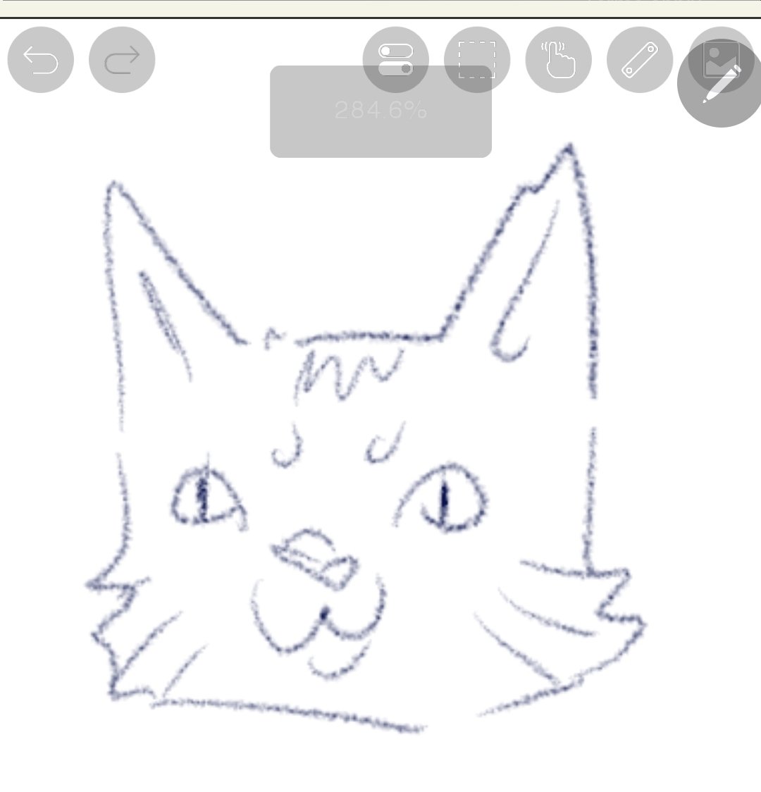 Hailes_bales's tweet photo. Day 52 of doodling
I think the sickness made me forget how to draw https://t.co/xlVjNcIMvd