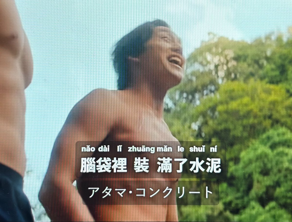 meibanfa24's tweet photo. 昨日にNHK「中国語ナビ」で加藤老師が「ピンイン字幕に出るサービスはない」と仰ってましたが「languagereactor」というのを使うと『鯨が消えた入り江』もピンイン観て学習できます。ぜひお試しを。 https://t.co/e1w2V4gaLN