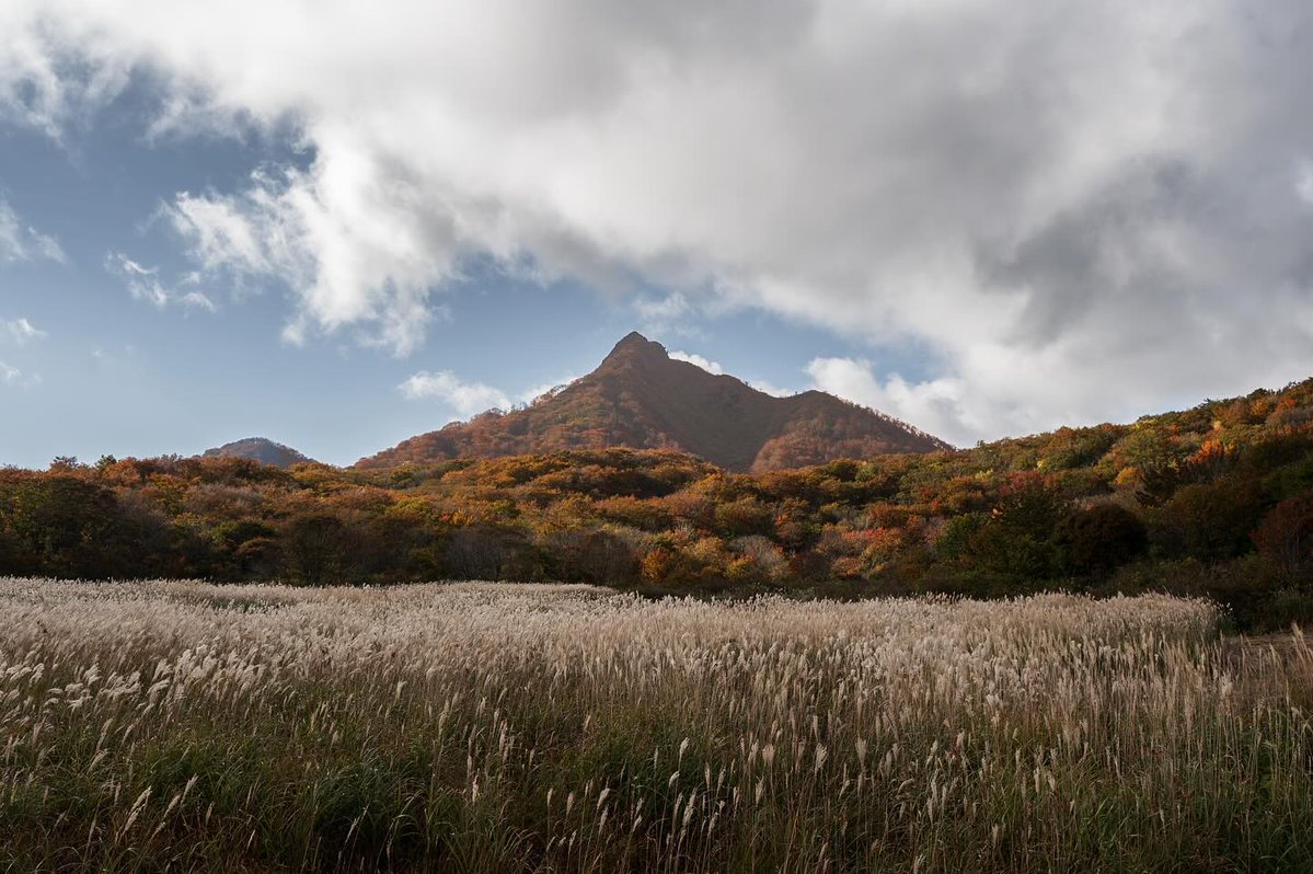 pichm24's tweet photo. 2024.4  大山まきばみるくの里
Nikon Z6II NIKKOR Z 20mm f/1.8 S
パノラマ合成×5

今年の天の川も終わりが近づいてきたので、思い出を整理。
大山と天の川の間にある緑色のものは大気光らしいです。星を撮り始めて3年くらいになりますが、この時しか遭遇できたことがありません。… https://t.co/tqIjAQ4921