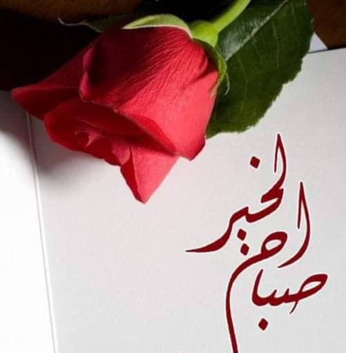 MAGDAMASSAB's tweet photo. صباح الخير 💜 https://t.co/pQSYsrtbyV