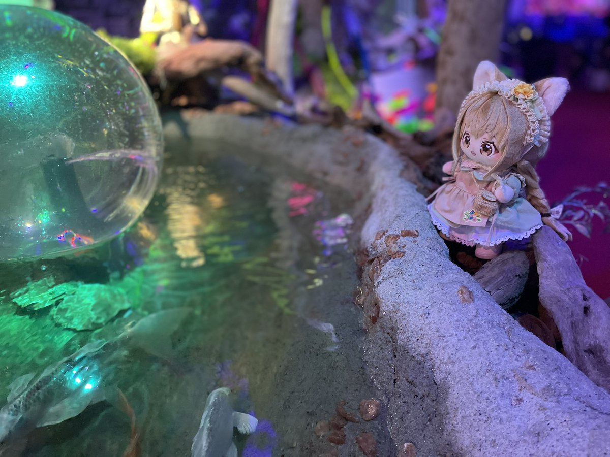 konohanatei tweet picture
