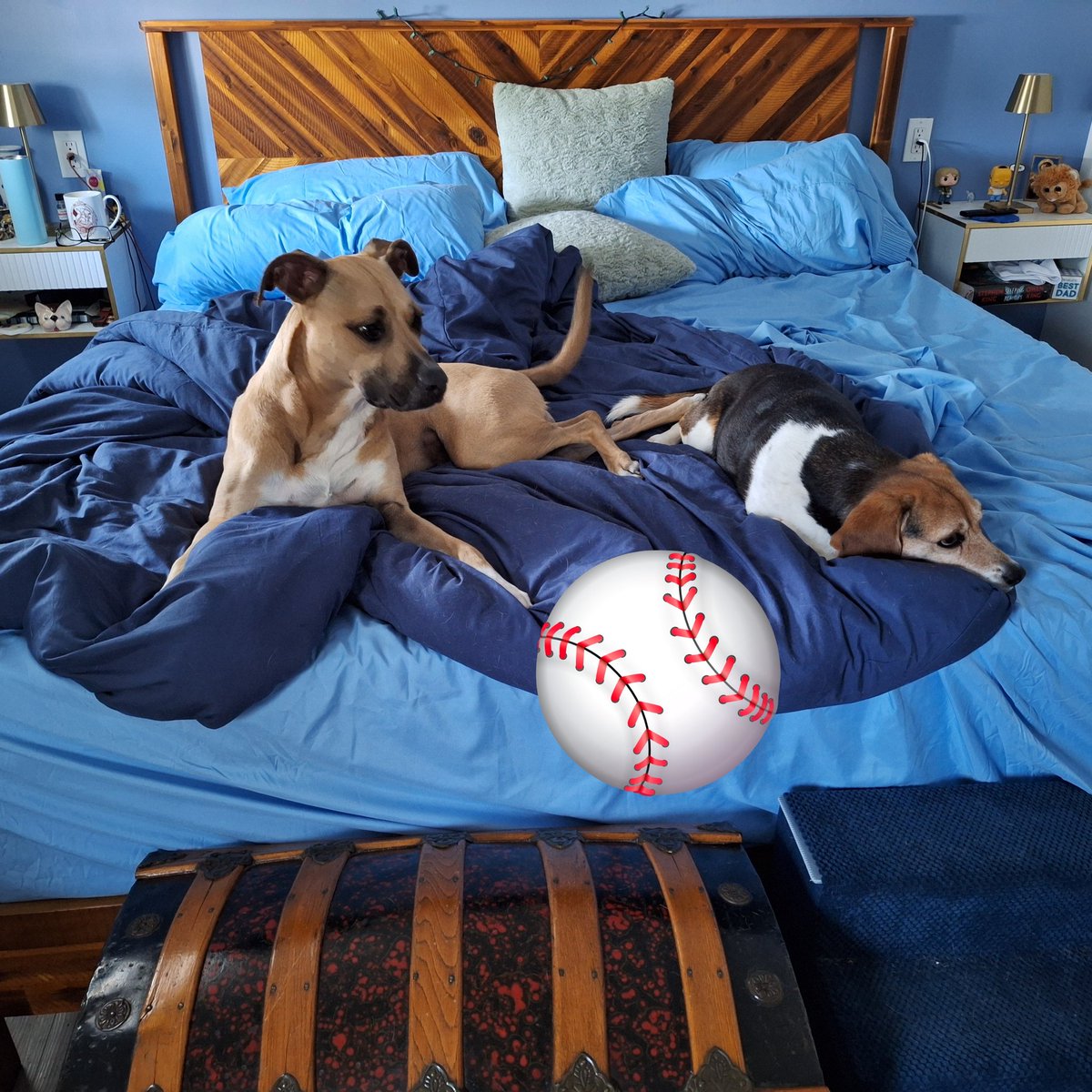 lolabeagle5's tweet photo. Happy Canada Day 🇨🇦 It is so hot we can only go outside for potty breaks (feeling 48°C) We are staying in the big blue bed and watching baseball. We pretend we are swimming😂 #canadaday2026 #dogsofx #canadiandogs https://t.co/RD8dMwxng4