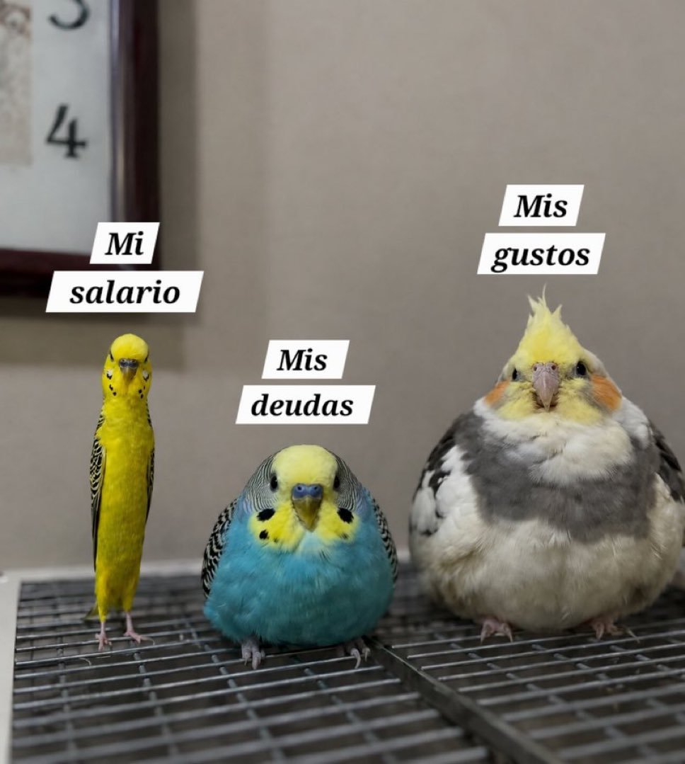 FraseSimple's tweet photo. https://t.co/SpsvJoPuNu