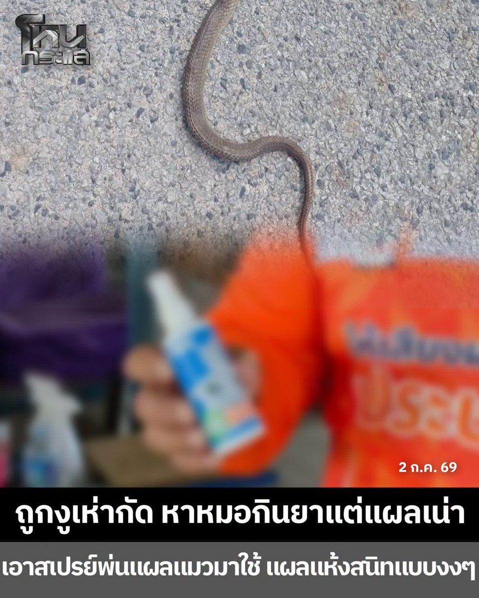 pizad_sura's tweet photo. มีคนบอก

ยาที่กินไป มันออกฤทธิ์พอดี
ความดีความชอบ เลยตกไปอยู่ที่สเปรย์ 55555 https://t.co/rlOT1PBzFi
