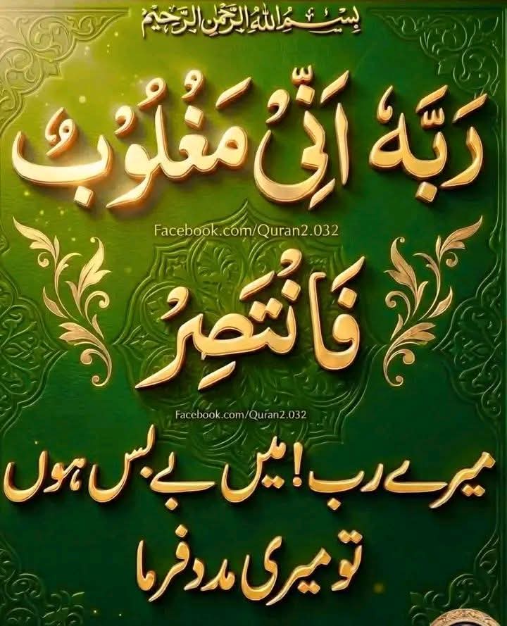 Noor4388320's tweet photo. السلام علیکم ورحمۃ اللہ وبرکاتہ 🌸
صبح بخیر!
اللہ تعالیٰ آپ کی صبح رحمت، برکت، صحت، سکون اور خوشیوں سے بھر دے۔ اللّٰہ پاک آپ کی تمام پریشانیاں آسان فرمائےاور ہر جائز دعا قبول کرے، آپ کےرزق میں برکت عطا فرمائے اور آپ کو اپنی حفظ و امان میں رکھے۔ آمین یا رب العالمین۔ 🤲🌿 https://t.co/kVr2gY7uuq