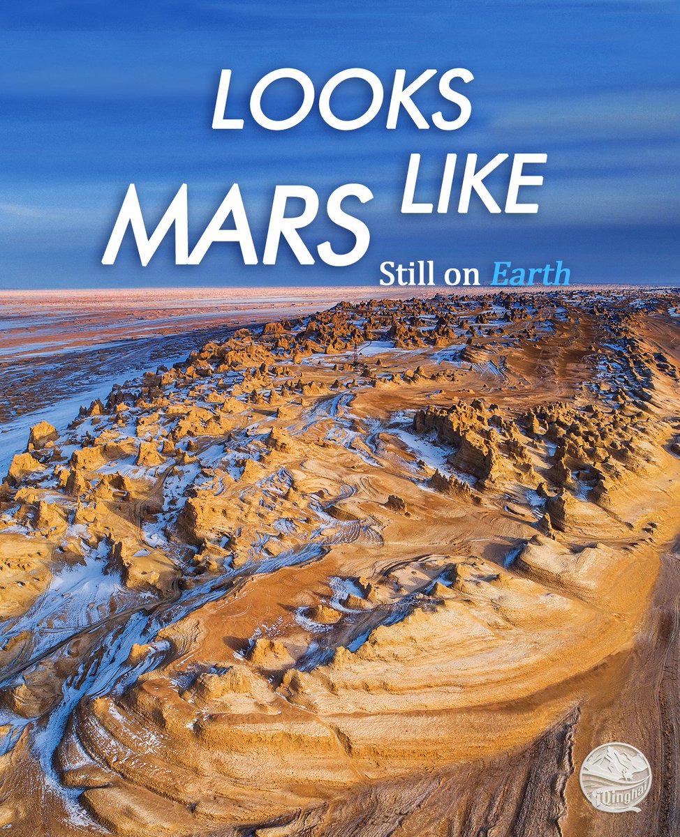 i_Qinghai's tweet photo. Looks like Mars. Still on Earth. 🔴
Across Qinghai’s Qaidam Basin, wind-carved Yardang ridges and rust-colored valleys create one of China’s most otherworldly landscapes.
Welcome to “Mars on Earth.” 🚀
#Qinghai #Qaidam #Yardang #MarsOnEarth #MeetQinghai https://t.co/yrqX81rvg6