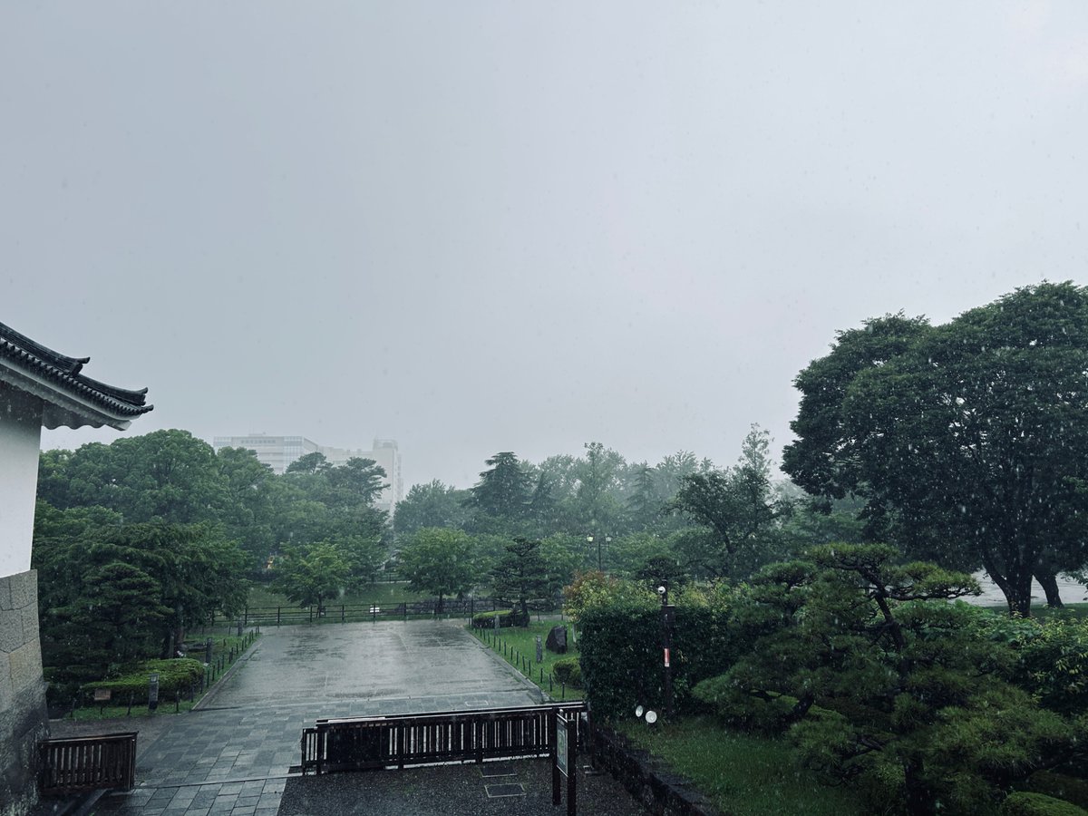 votscsp's tweet photo. 今日は駿河巡礼です
雨の中、駿府城を散策、日本平へ向かいます
#駿府城 https://t.co/M6JYZoc1PT
