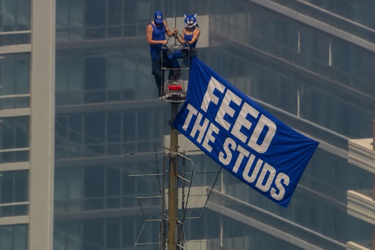 SteinsStuds's tweet photo. #FeedTheStuds 😼 https://t.co/wabk9t6Vui
