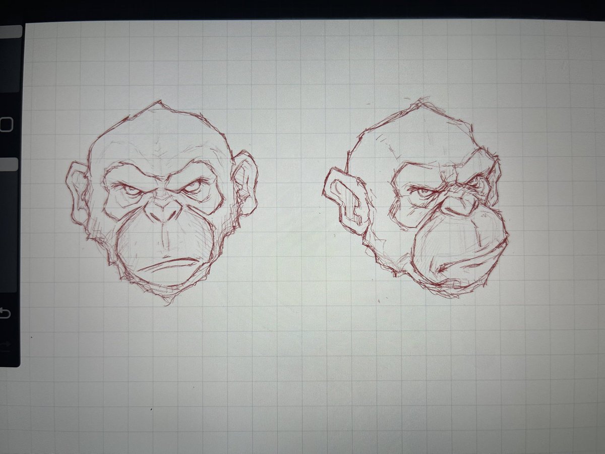 grapes's tweet photo. It all started with a monkey sketch. https://t.co/NZgvWyM22x