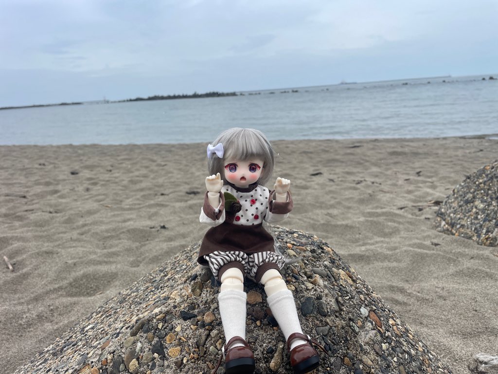 OssanDolls's tweet photo. 新潟県新潟市
山の下舟江町　浜海水浴場

せっかく新潟まで来たので日本海が見える場所へと思って来ましたが、天気が悪すぎる(´･ω･`)

車を降りたら雨が降り始めたので、傘を持って撮影しました😅

フィアちゃんとミントちゃんは初めての野撮です✨

#Tinyfox
#シュガーカップス
#月うさ洋装店 https://t.co/DoLlFXnfeM