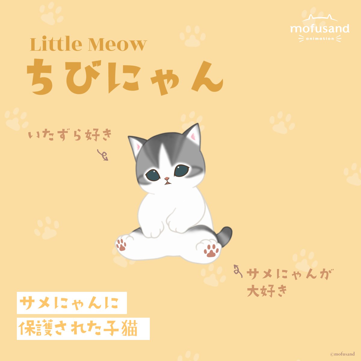 mofusand_anime's tweet photo. 🐾 キャラクター紹介 🐾

#ちびにゃん ♪
サメにゃんに保護された子猫🐈

📺アニメは毎週水曜日に配信中♪

#mofusand https://t.co/Kla0D3qg4e