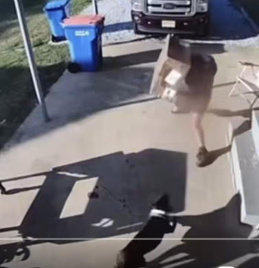 dethb4defeat's tweet photo. @InsaneReality im with the driver 100% look at the speed the dog was coming and how close it got, it was gonna bite him. control your fucking dog https://t.co/xgr7HF7fwr