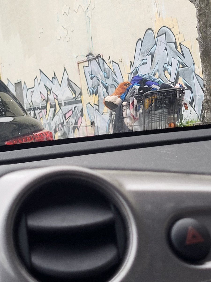 chaiyote3's tweet photo. Hello furry twitter is anyone missing a fursuit or digi feetpaws like this in Pierce County, WA? 

Someone may have intentionally discarded it but figured id post on the off chance https://t.co/8cP2MPXlAa