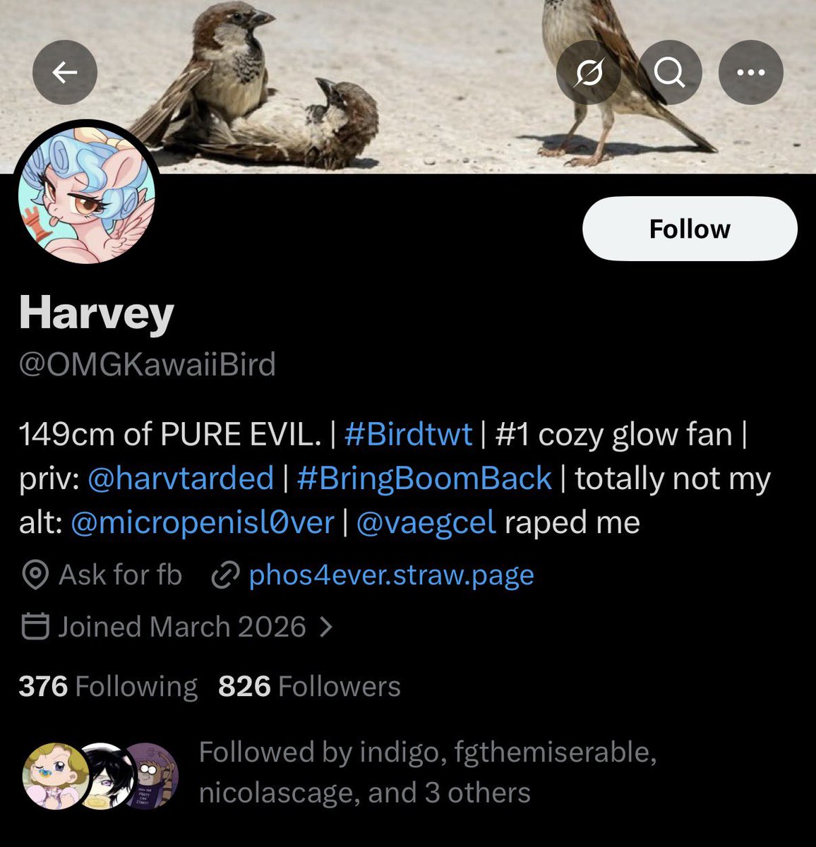 hito tweet media