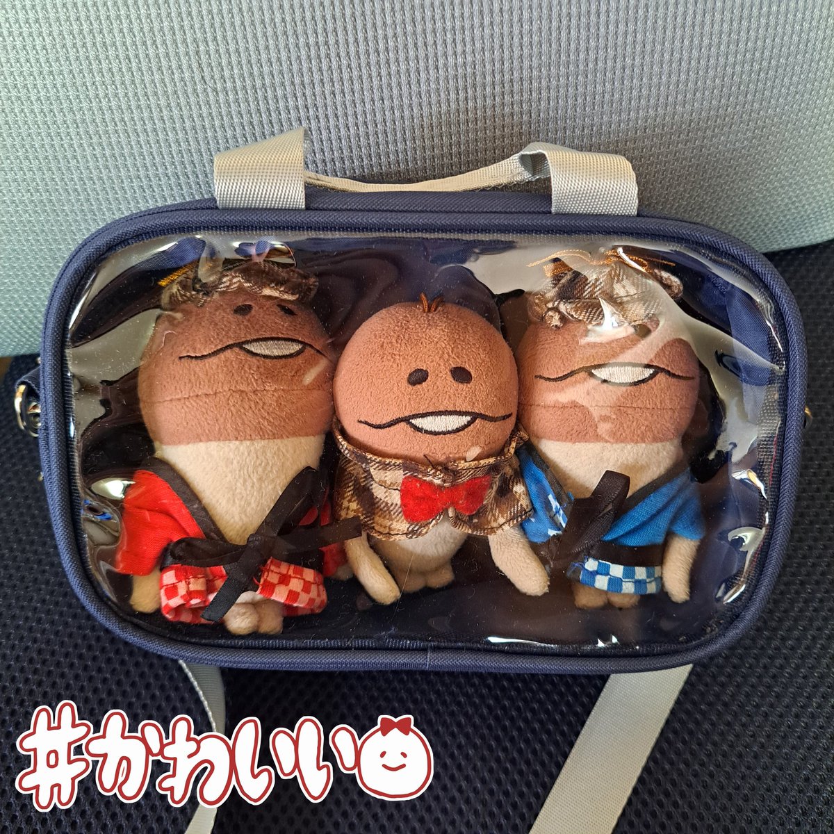 akko_nnf's tweet photo. 大きめのなめこたちが持っても可愛い❤、推し活バッグとして中に小さいなめこさんたちを入れても可愛い❤、ストラップつけてポシェットとして使っても可愛い❤と控えめに言っても最高なグッズをありがとうございます( ˊ̱˂˃ˋ̱ )🫶💕

こちらはユピパリの弟たちで左からてるくんぱりちゃんゆぴくんです🥰 https://t.co/gafZGn0mxd