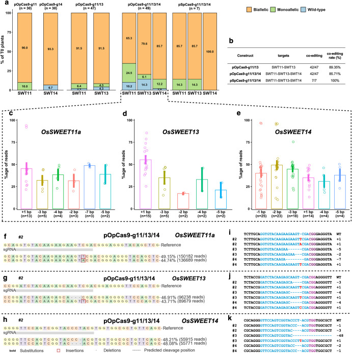 CASTScholar's tweet photo. This study validates rice-tailored AI-designed open-source OpenCRISPR-1 matching SpCas9 in editing efficiency, generating blight-resistant lines, compatible with OpsgRNA and high-fidelity OpenPE6c as an open precision crop breeding platform. https://t.co/ZLUX1QPRns https://t.co/7f276kcVvm