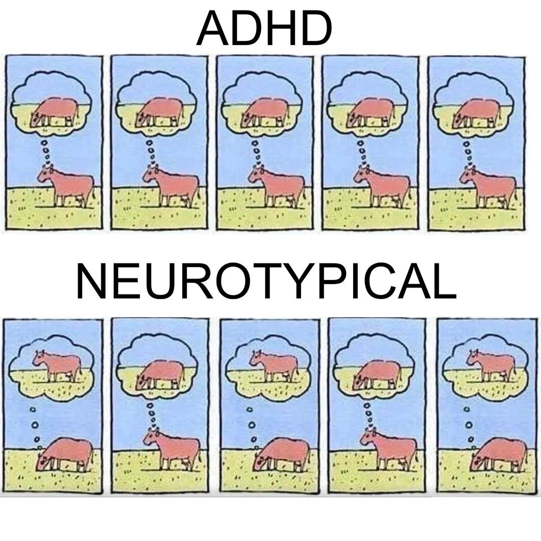 ADHDForReal's tweet photo. https://t.co/Y7EGLmciAk