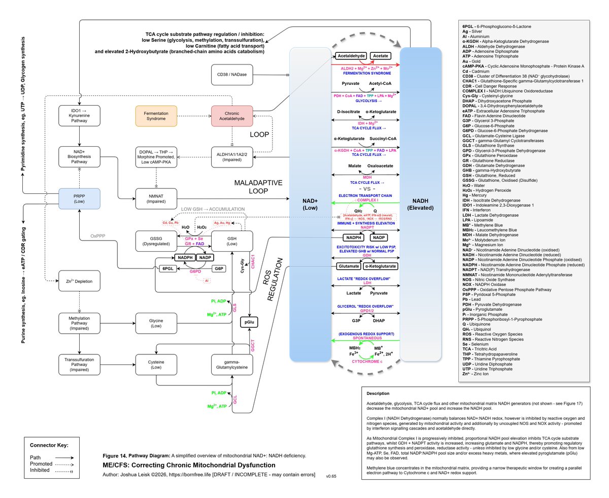 joshual_tm's tweet photo. From my disease modelling, here’s the mechanism I describe that causes downregulation of TRPM3 - compensation for dysregulated calcium influx from the pathological glutamate signalling, via impaired glutathione metabolism. This also causes a wide cascade of other issues.

Readily repeatable data shows the persistence comes from ionomic disturbances - a combination of low minerals and elevated toxic metals, downstream of an inflammatory cascade.

https://t.co/GExaQxnSaj

This is now also much easier to correct.