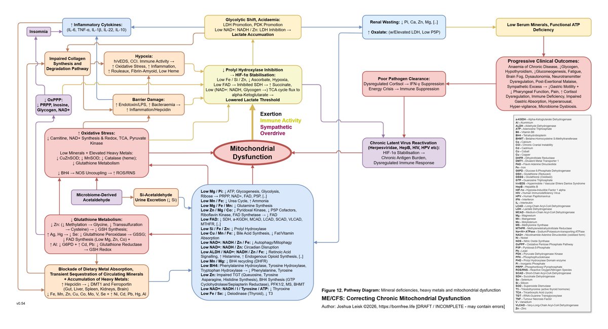 joshual_tm's tweet photo. From my disease modelling, here’s the mechanism I describe that causes downregulation of TRPM3 - compensation for dysregulated calcium influx from the pathological glutamate signalling, via impaired glutathione metabolism. This also causes a wide cascade of other issues.

Readily repeatable data shows the persistence comes from ionomic disturbances - a combination of low minerals and elevated toxic metals, downstream of an inflammatory cascade.

https://t.co/GExaQxnSaj

This is now also much easier to correct.