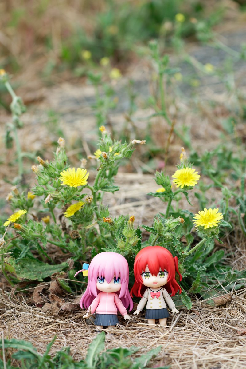 uguu_org's tweet photo. https://t.co/3WXw7WCVhi