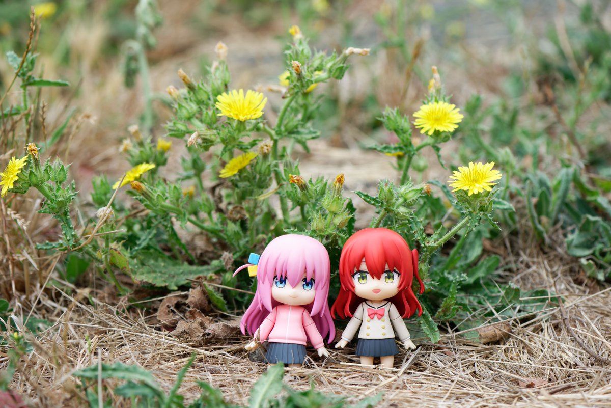 uguu_org's tweet photo. https://t.co/3WXw7WCVhi