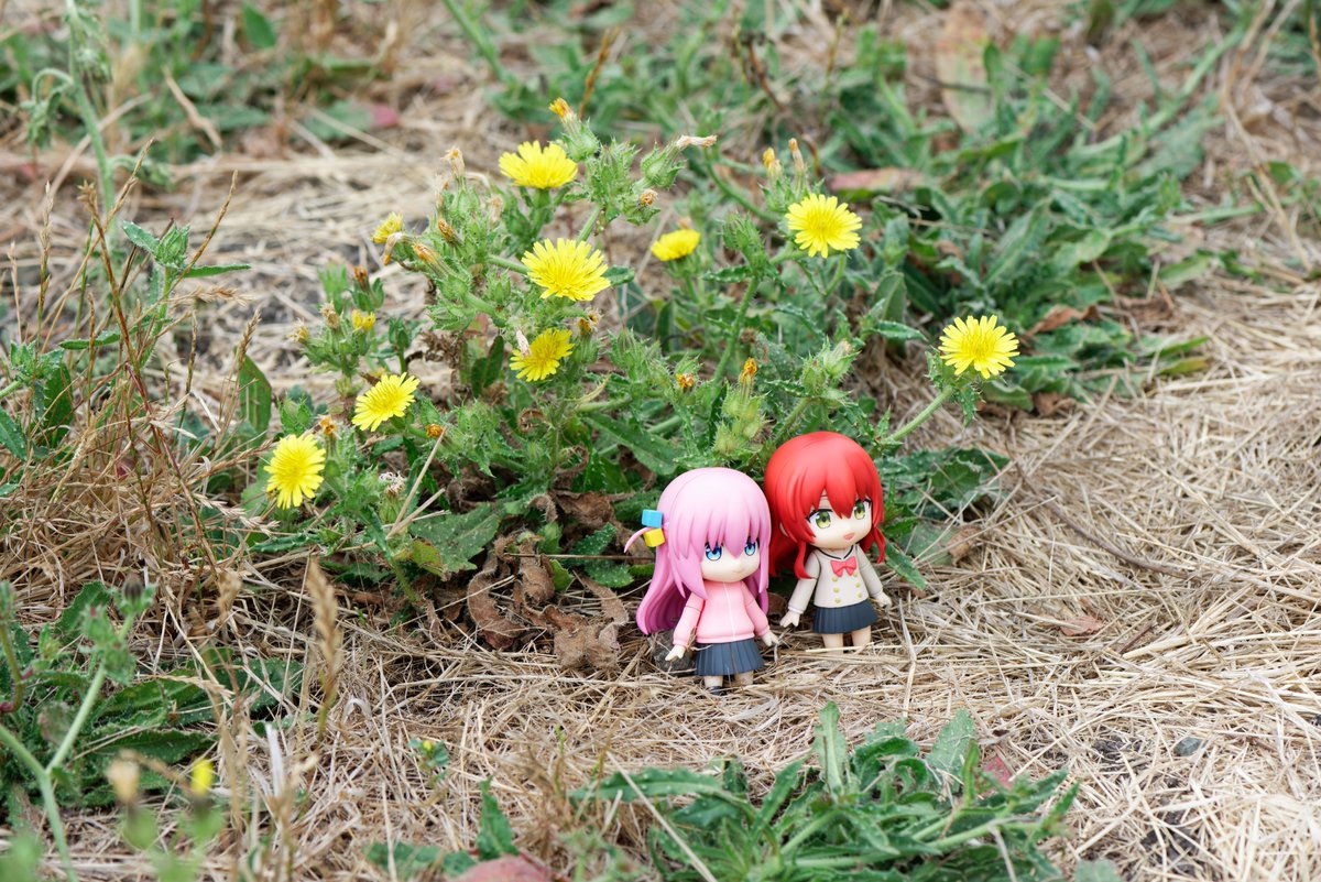 uguu_org's tweet photo. https://t.co/3WXw7WCVhi