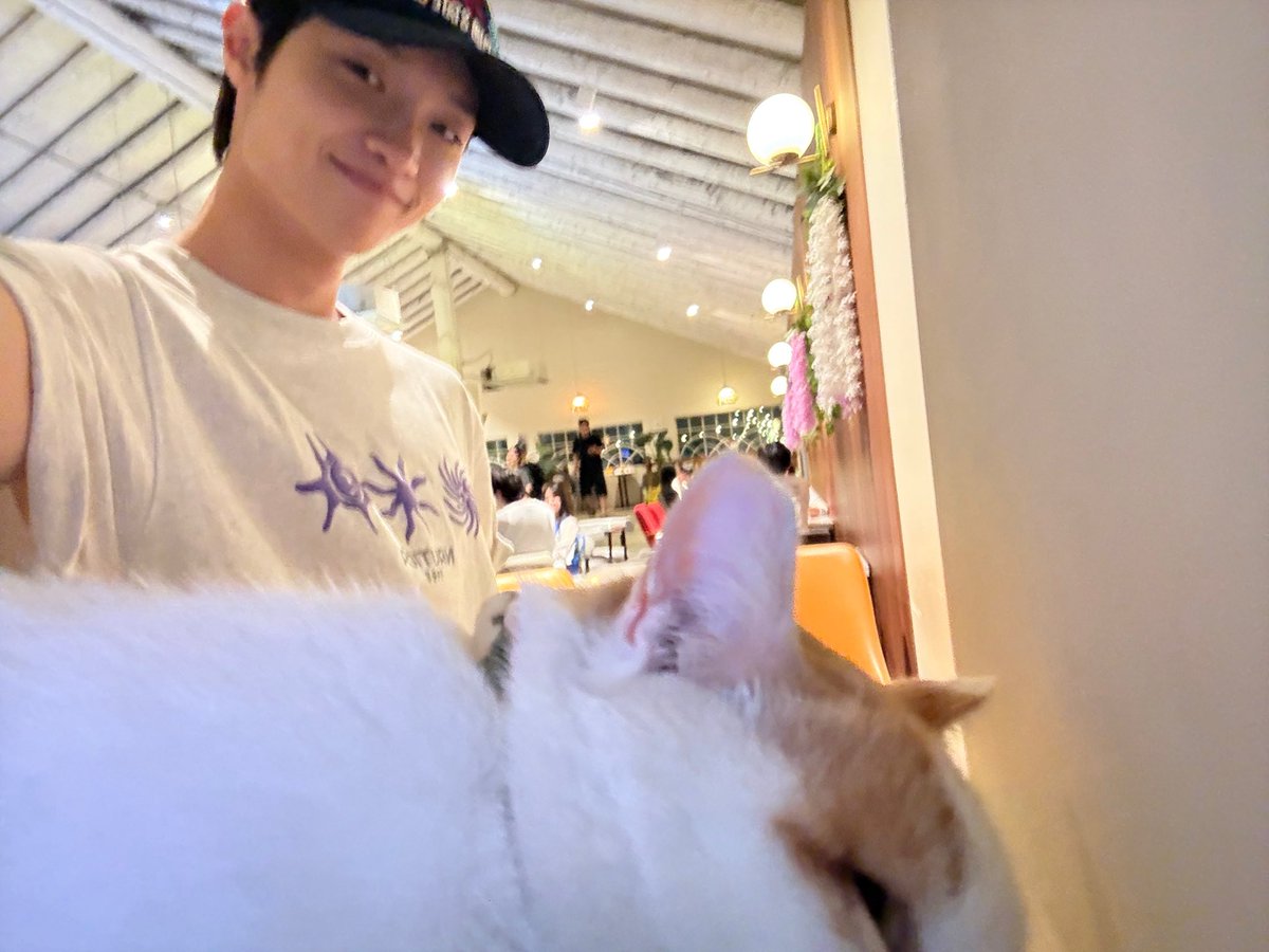 zhdtlzz's tweet photo. 고양이와 동표 🐱🐧 https://t.co/1NStd7muyp