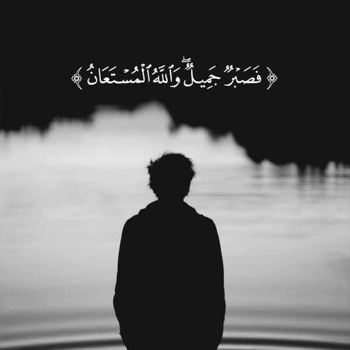 محمد tweet media