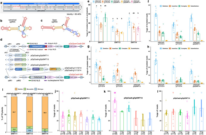 CASTScholar's tweet photo. This study validates rice-tailored AI-designed open-source OpenCRISPR-1 matching SpCas9 in editing efficiency, generating blight-resistant lines, compatible with OpsgRNA and high-fidelity OpenPE6c as an open precision crop breeding platform. https://t.co/ZLUX1QPRns https://t.co/7f276kcVvm