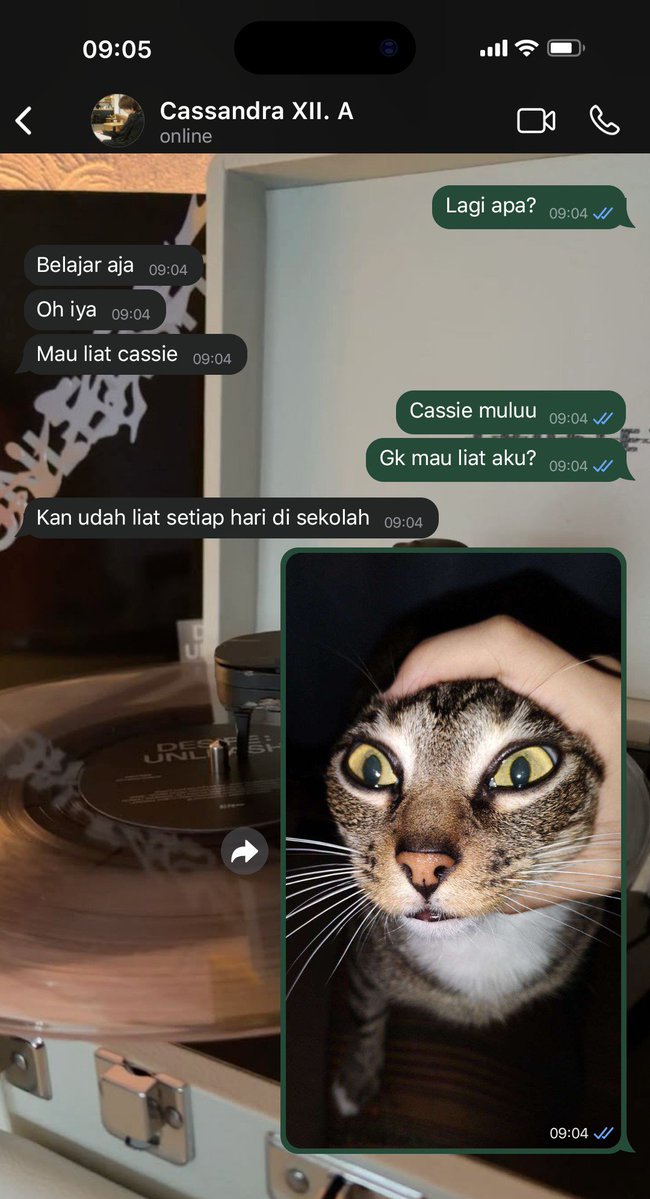 Majubangsabesar's tweet photo. #marhoon two tweets. 

Perihal Andrew yang iri sama cuking nya sendiri. 

_

By @Majubangsabesar https://t.co/c1wLFg5HD9